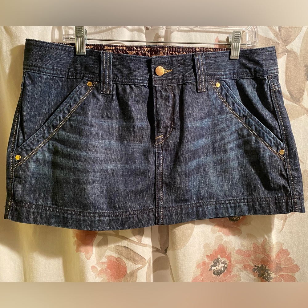 Express X2, Skirt, Size 12